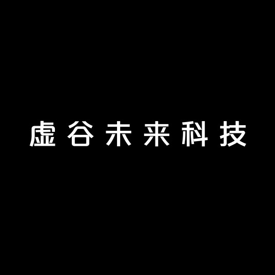 虚谷未来科技（北京）有限公司
