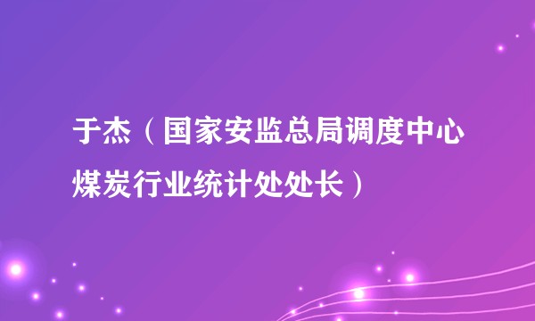 于杰（国家安监总局调度中心煤炭行业统计处处长）