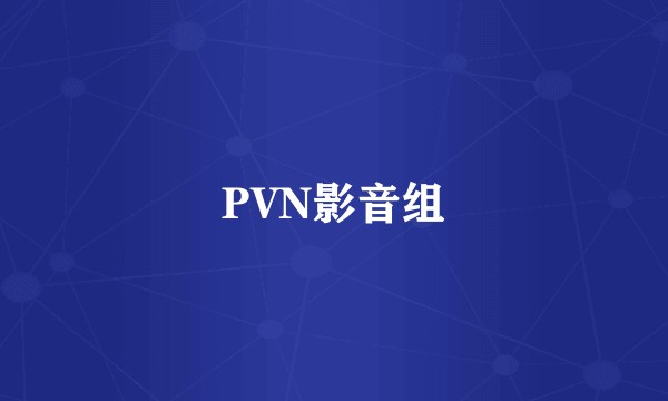PVN影音组
