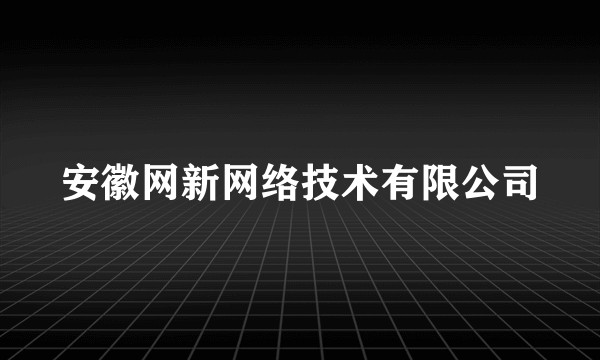安徽网新网络技术有限公司