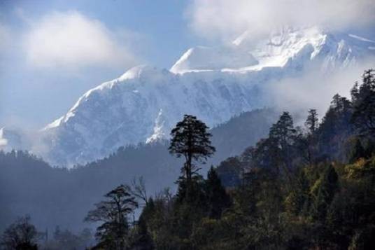 岷山山系大熊猫保护区