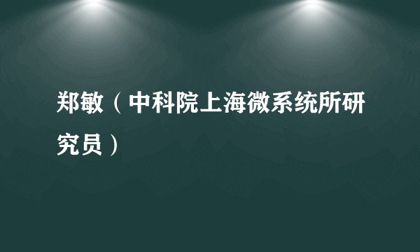 郑敏(中科院上海微系统所研究员)