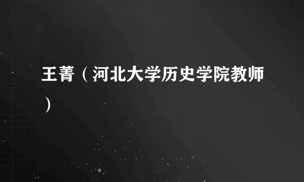 王菁(河北大学历史学院教师)