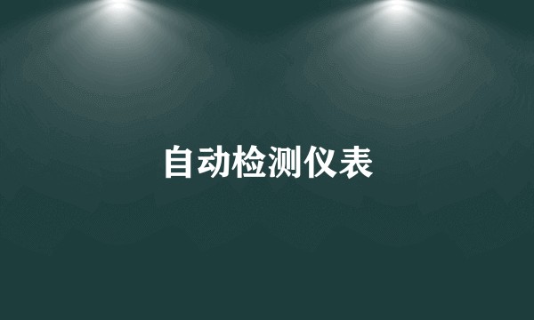 自动检测仪表