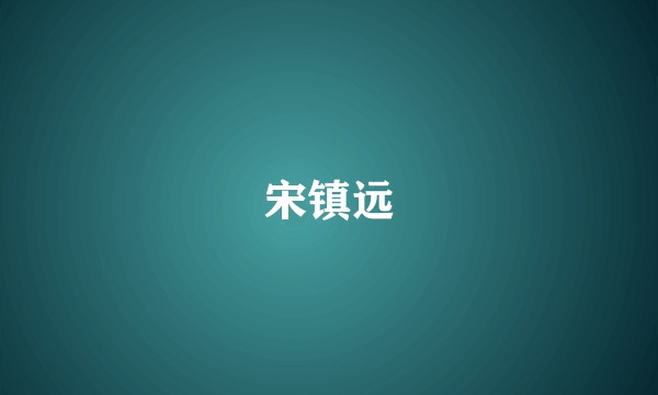 宋镇远