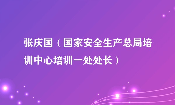 张庆国（国家安全生产总局培训中心培训一处处长）