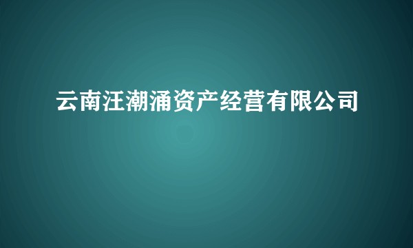 云南汪潮涌资产经营有限公司