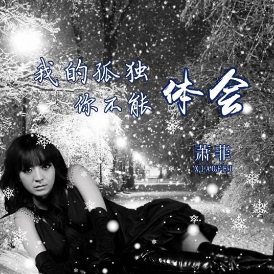 我的孤独你不能体会（萧菲演唱歌曲）