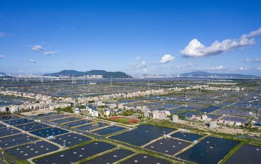 丰收节经济