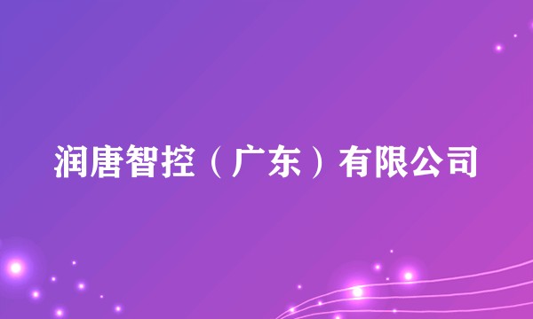 润唐智控（广东）有限公司