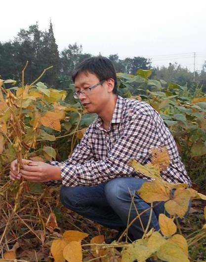 杨峰（四川农业大学农学院教授）