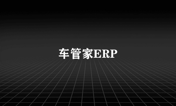 车管家ERP