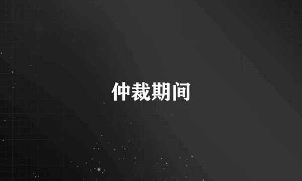 仲裁期间