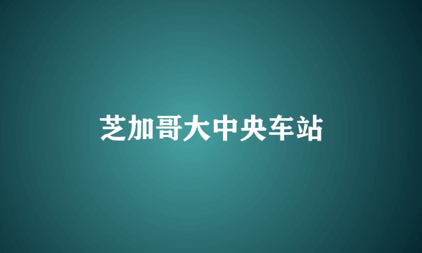 芝加哥大中央车站