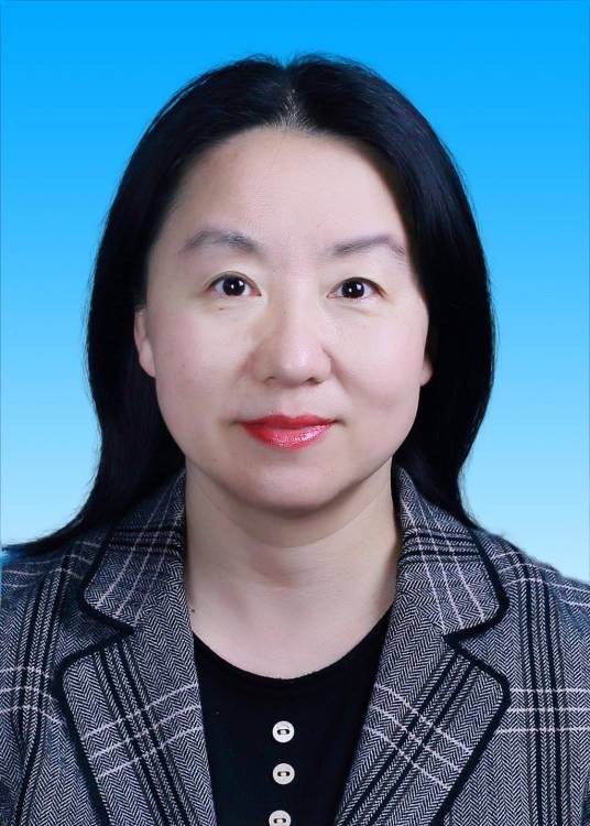 王峥（湖北大学化学化工学院教授）