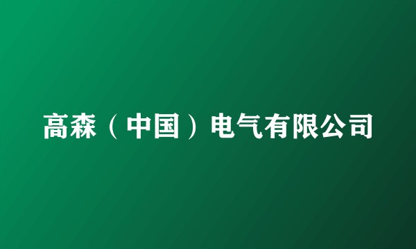 高森（中国）电气有限公司