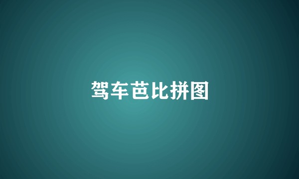 驾车芭比拼图