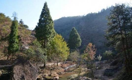 响石山