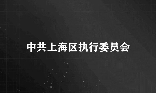 中共上海区执行委员会