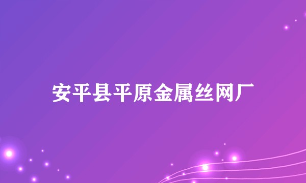 安平县平原金属丝网厂