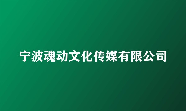 宁波魂动文化传媒有限公司