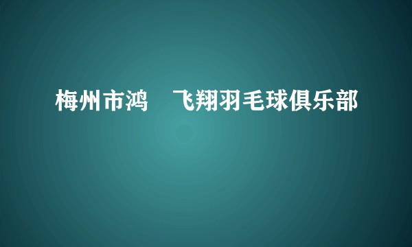 梅州市鸿燊飞翔羽毛球俱乐部