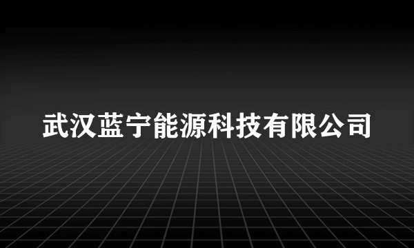 武汉蓝宁能源科技有限公司