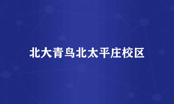 北大青鸟北太平庄校区
