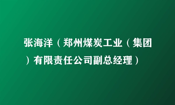 张海洋（郑州煤炭工业（集团）有限责任公司副总经理）