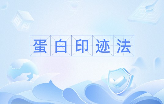 蛋白印迹法