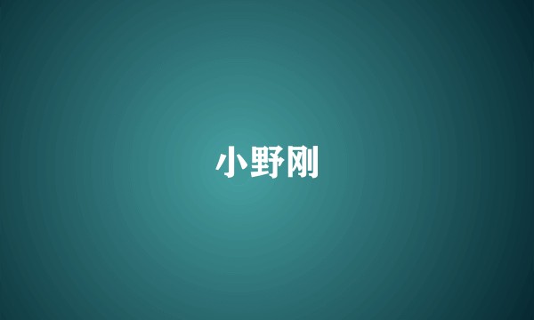 小野刚