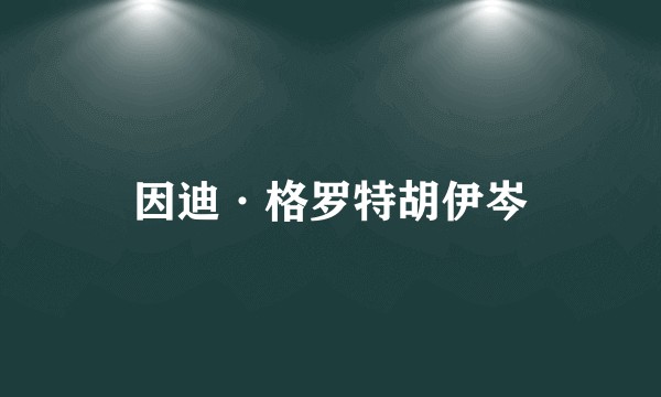 因迪·格罗特胡伊岑