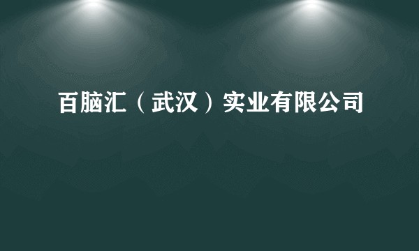 百脑汇(武汉)实业有限公司