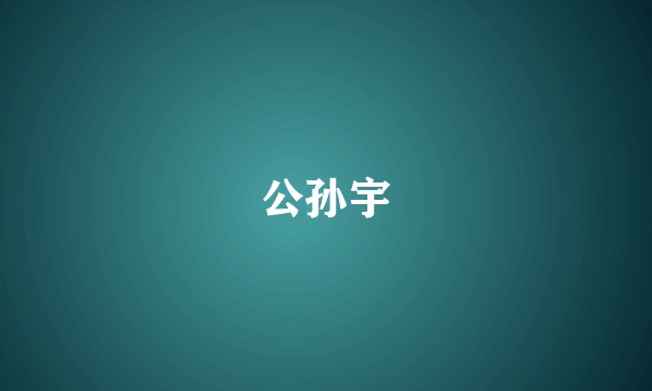 公孙宇