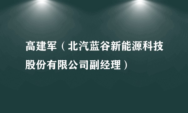 高建军（北汽蓝谷新能源科技股份有限公司副经理）