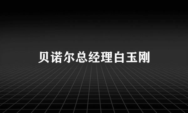 贝诺尔总经理白玉刚