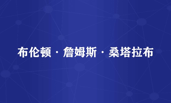 布伦顿·詹姆斯·桑塔拉布