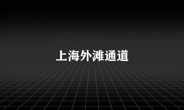 上海外滩通道