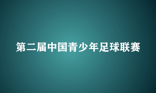 第二届中国青少年足球联赛