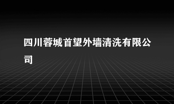 四川蓉城首望外墙清洗有限公司