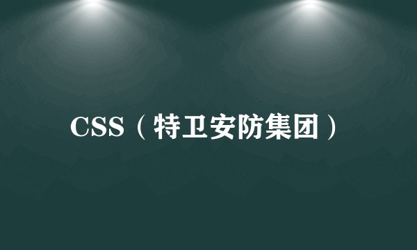 CSS(特卫安防集团)