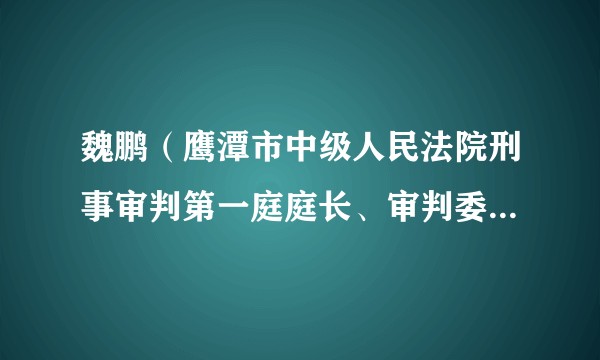 魏鹏（鹰潭市中级人民法院刑事审判第一庭庭长、审判委员会委员、审判员、四级高级法官）
