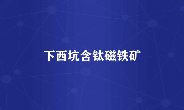 下西坑含钛磁铁矿