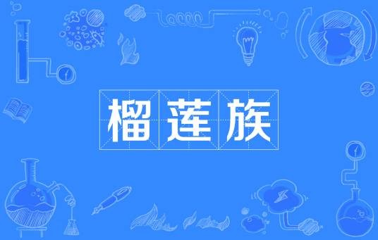 榴莲族