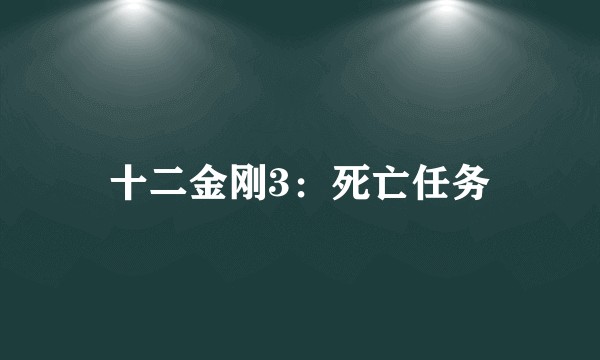 十二金刚3：死亡任务