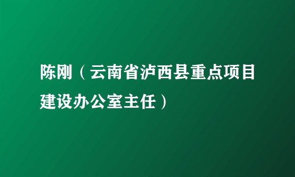陈刚(云南省泸西县重点项目建设办公室主任)