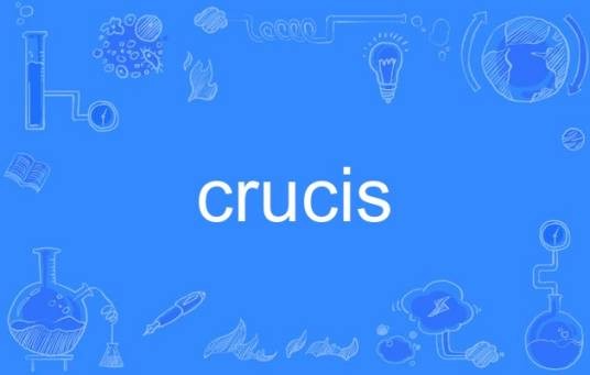 crucis