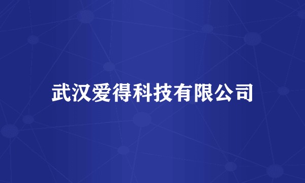 武汉爱得科技有限公司