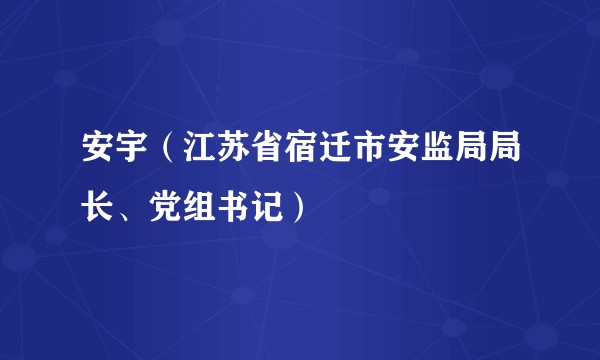 安宇(江苏省宿迁市安监局局长、党组书记)