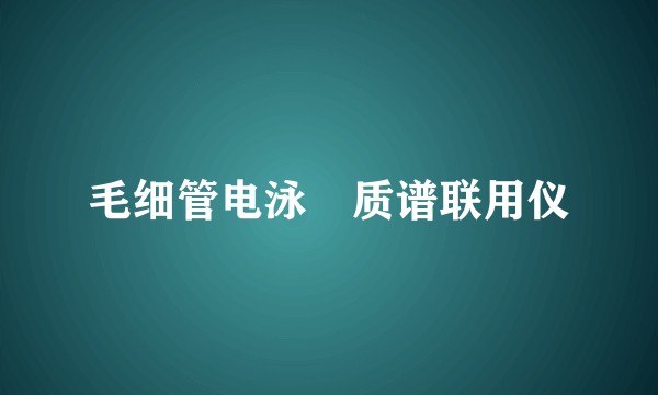 毛细管电泳–质谱联用仪